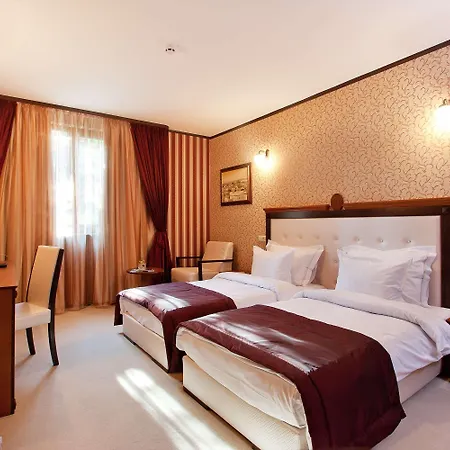 Western Bristol Szófia