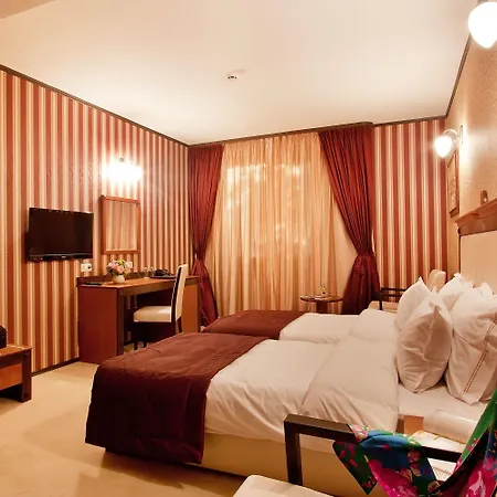 Western Bristol Szófia